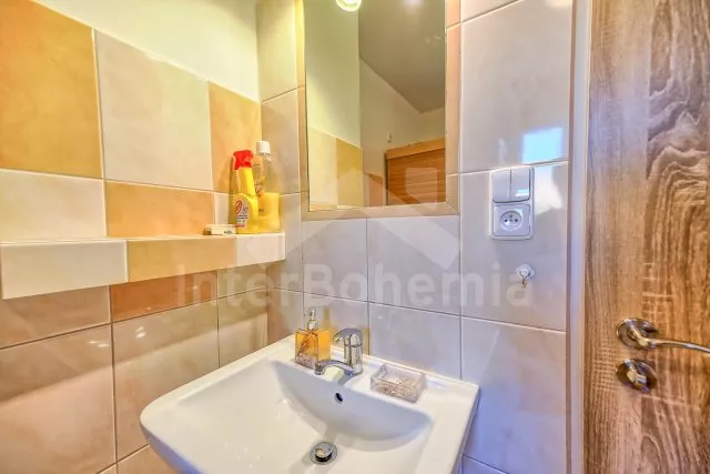 Koupelna v přízemí