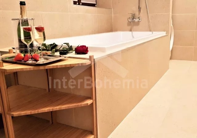 Vila Českomoravská vrchovina - Herálec VC 0179