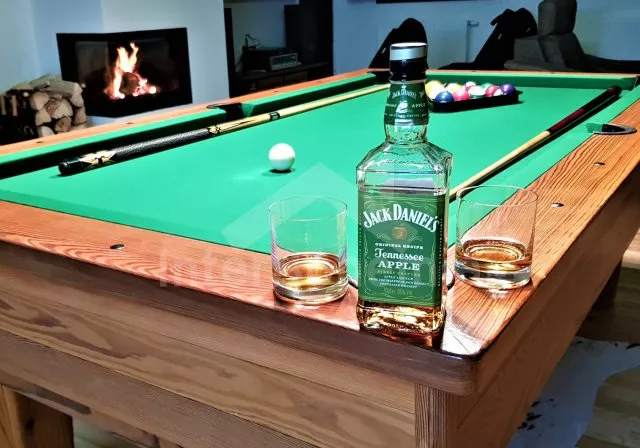 Vila Českomoravská vrchovina - Herálec VC 0179