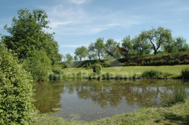 Chalupa Písek a okolí JC 0033