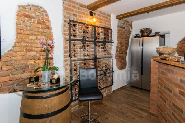 Statek Třeboňsko - Domanín JC 0318