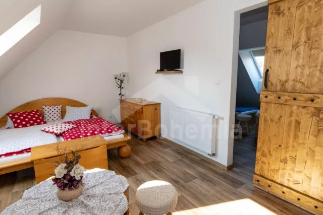 Statek Třeboňsko - Domanín JC 0318