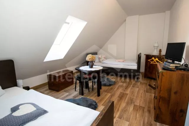 Statek Třeboňsko - Domanín JC 0318