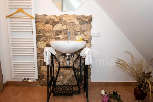 Statek Třeboňsko - Domanín JC 0318