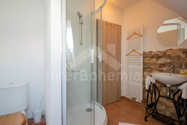 Statek Třeboňsko - Domanín JC 0318