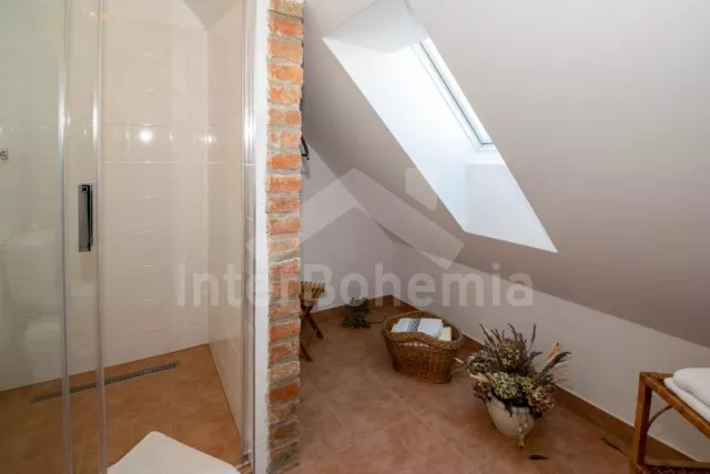 Statek Třeboňsko - Domanín JC 0318