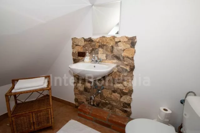 Statek Třeboňsko - Domanín JC 0318