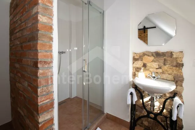 Statek Třeboňsko - Domanín JC 0318