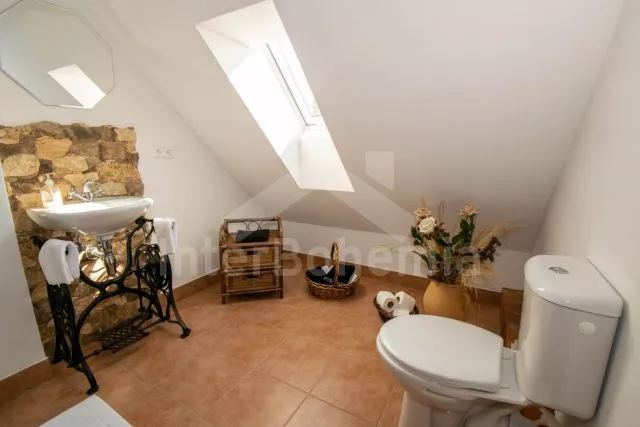 Statek Třeboňsko - Domanín JC 0318