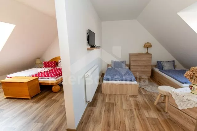 Statek Třeboňsko - Domanín JC 0318