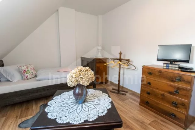 Statek Třeboňsko - Domanín JC 0318