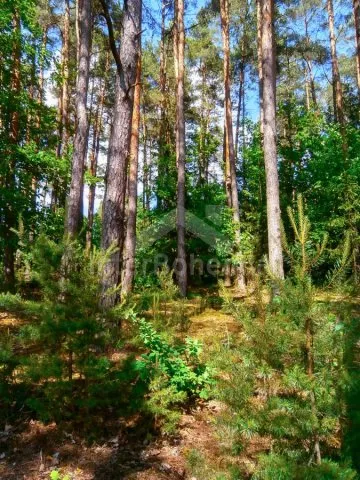 Chata České Budějovice a okolí - Bečice JC 0448