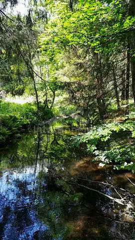 Chata České Švýcarsko LH 0043