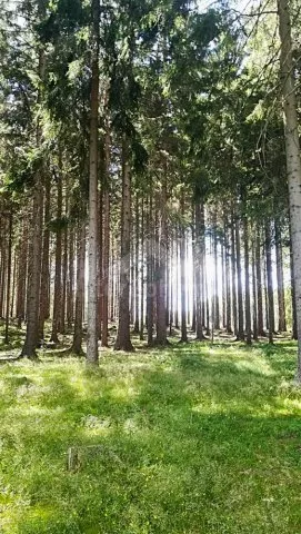 Chata České Švýcarsko LH 0043