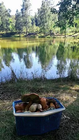 Chata České Švýcarsko LH 0043