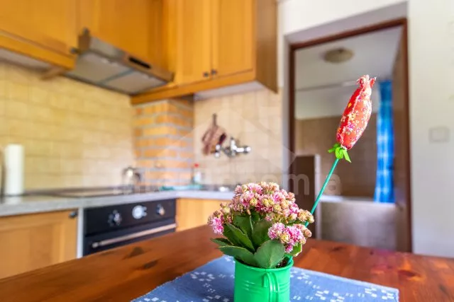 Chata České Švýcarsko LH 0043