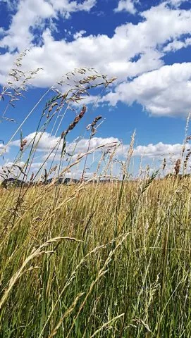 Chata České Švýcarsko LH 0043