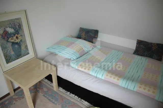 Vakantiehuis Orlik stuwmeer JC 0035