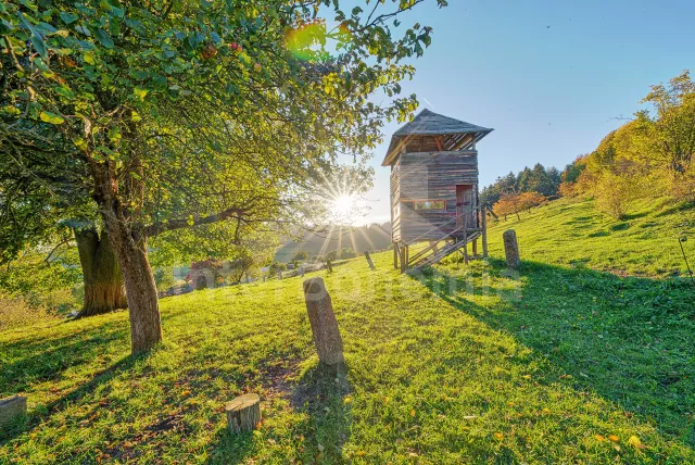 Chata Lázeňský trojúhelník - Nežichov ZC 0195