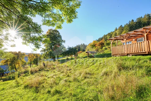 Chata Lázeňský trojúhelník - Nežichov ZC 0195