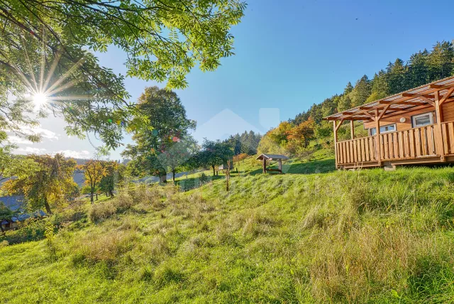 Chata Lázeňský trojúhelník - Nežichov ZC 0195