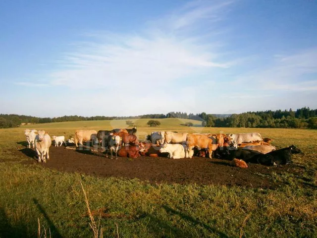 Domek Jindřichův Hradec a okolí - Hůrky JC 0379