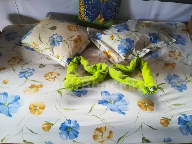 Chata Orlík - Radava JC 0464