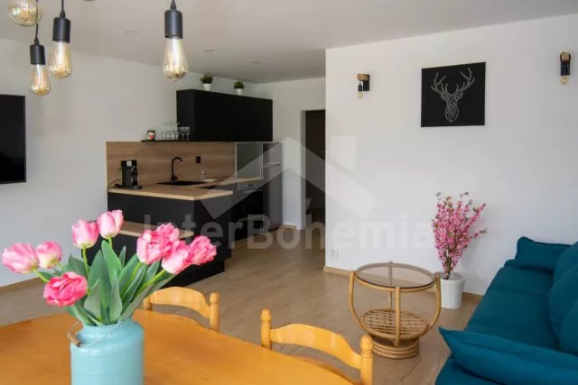 Apartmán Slapy - Smilovice (Chotilsko) OP 0136