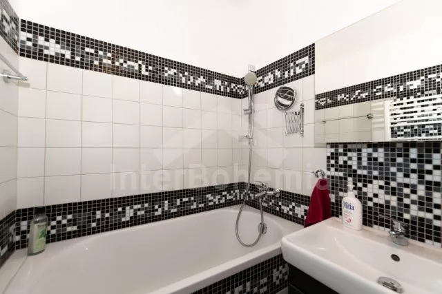 Apartmán Lipno - Frymburk JC 0481