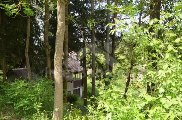 Chata Tábor a okolí JC 0039