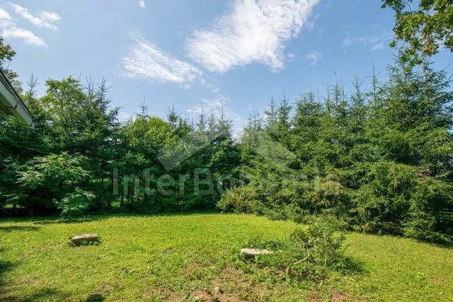 Chata Českomoravská vrchovina - Chotěboř VC 0065