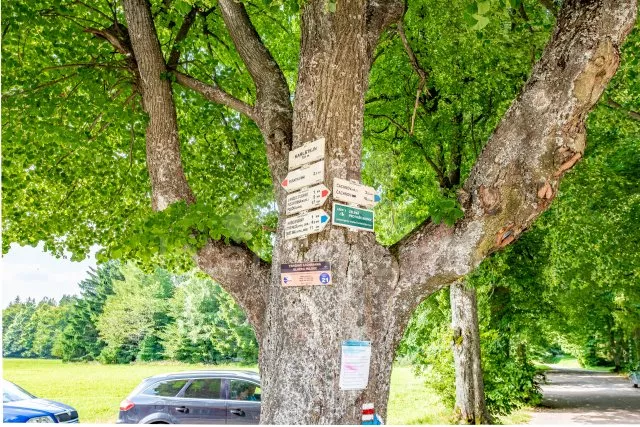 Domek Českomoravská vrchovina - Svratka VC 0063