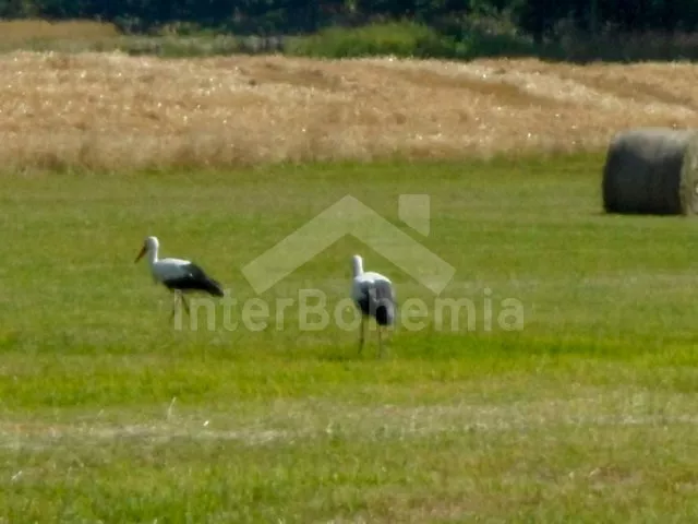 Festung Südböhmen – Budweis - Suchá JC 0491