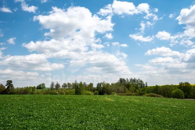 Chata Posázaví - Střítež VC 0181