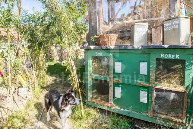 Ferienwohnung  - Nymburk OP 0090