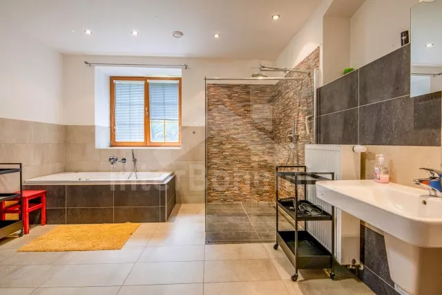 Chalupa Jeseníky - Andělská Hora SM 0046