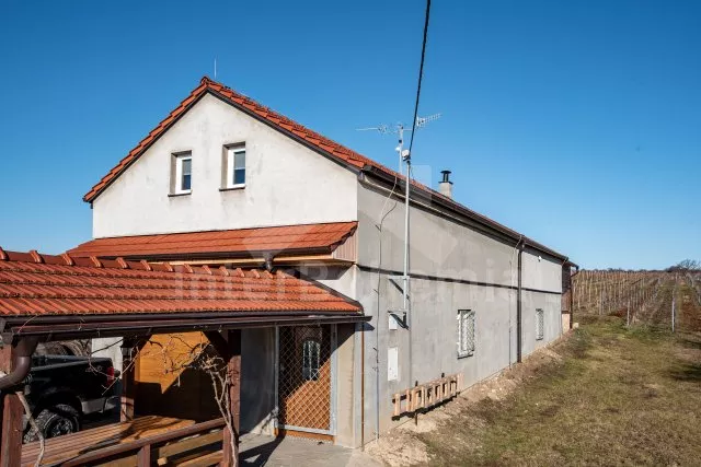 Apartmán Pálava - Velké Bílovice JM 0114 A