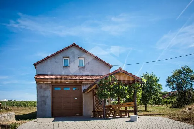 Apartmán Pálava - Velké Bílovice JM 0114 C