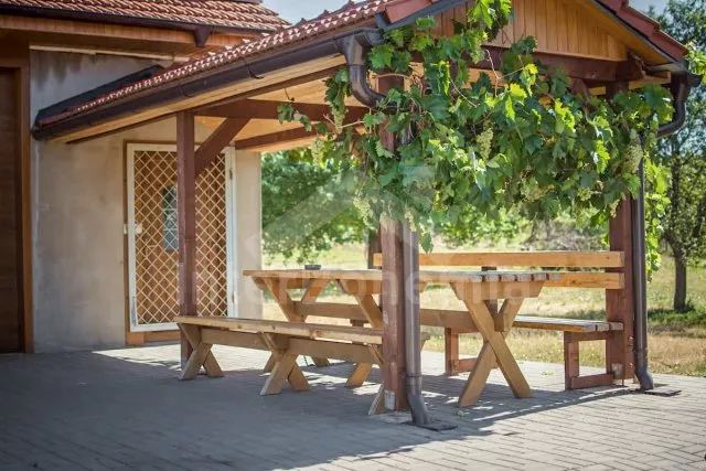 Apartmán Pálava - Velké Bílovice JM 0114 C