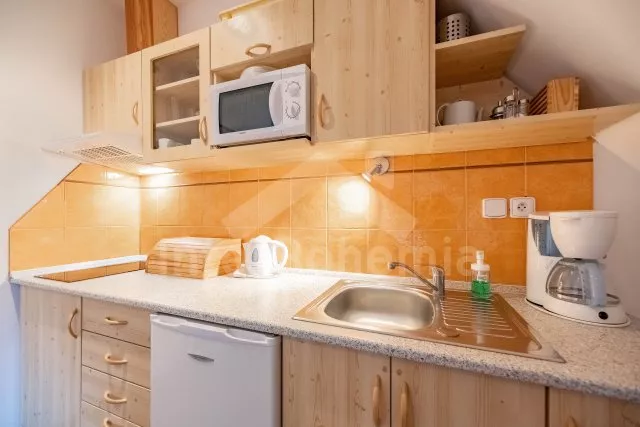 Apartmán Krkonoše a předhůří - Harrachov KK 0038 E