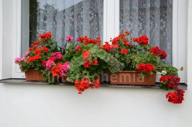 Domek Tábor a okolí JC 0042