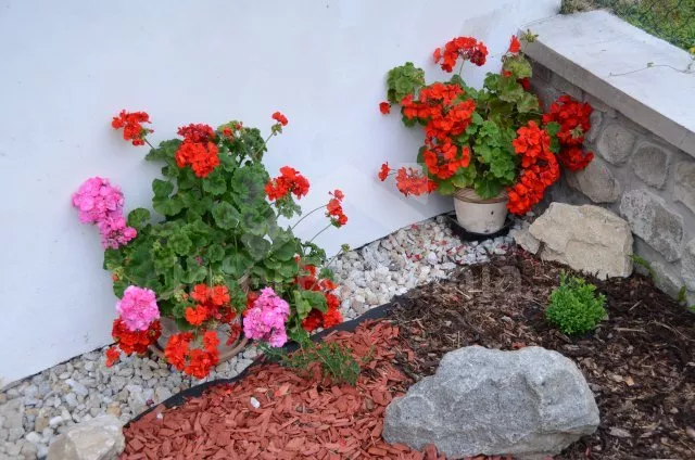 Domek Tábor a okolí JC 0042