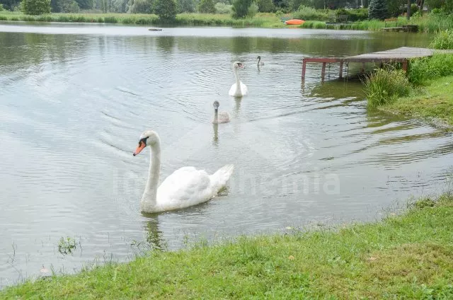 Chata Česká Kanada - Malý Ratmírov JC 0135 A