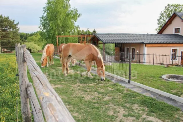 Chalupa Orlické hory a předhůří - Vlčkov (Litomyšl) VC 0067