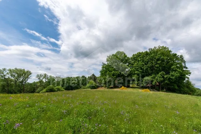 Chata Orlík - Vesec - Kovářov JC 0502