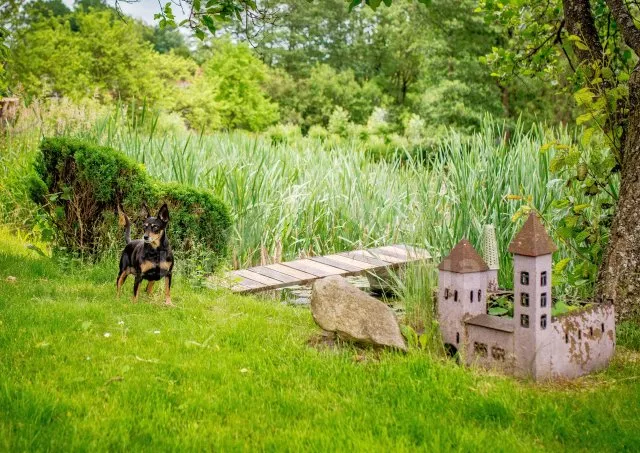 Apartmán Českomoravská vrchovina - Krasoňov JC 0503