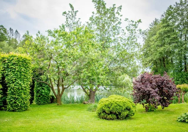 Apartmán Českomoravská vrchovina - Krasoňov JC 0503