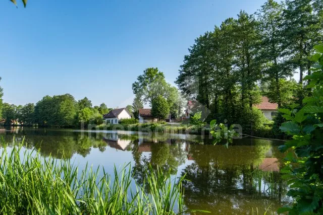 Apartmán Českomoravská vrchovina - Krasoňov JC 0503