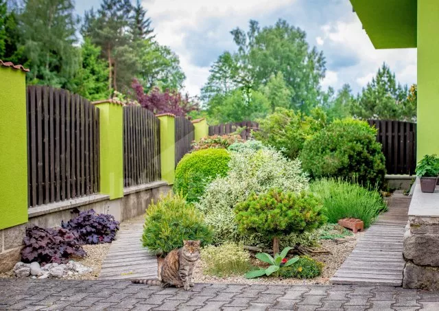 Apartmán Českomoravská vrchovina - Krasoňov JC 0503