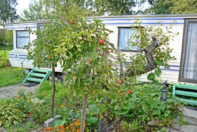 Domek Třeboňsko JC 0046